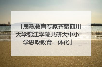 思政教育专家齐聚四川大学锦江学院共研大中小学思政教育一体化