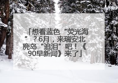 想看蓝色“荧光海”？6月，来瑞安北麂岛“追泪”吧！《90早新闻》来了