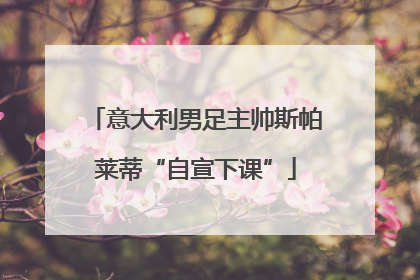 意大利男足主帅斯帕莱蒂“自宣下课”