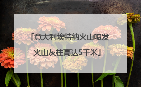 意大利埃特纳火山喷发 火山灰柱高达5千米
