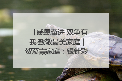 感恩奋进 双争有我·致敬最美家庭｜贺彦霞家庭：银针彩线绣出好日子