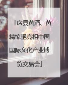 房县黄酒、黄精惊艳亮相中国国际文化产业博览交易会