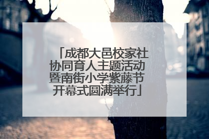 成都大邑校家社协同育人主题活动暨南街小学紫藤节开幕式圆满举行