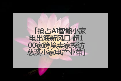 抢占AI智能小家电出海新风口 超100家跨境卖家探访慈溪小家电产业带