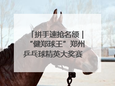 拼手速抢名额｜“健郑球王”郑州乒乓球精英大奖赛报名火热