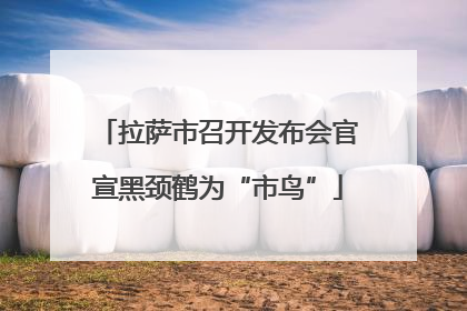 拉萨市召开发布会官宣黑颈鹤为“市鸟”