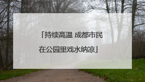 持续高温 成都市民在公园里戏水纳凉