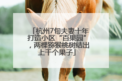 杭州7旬夫妻十年打造小区“百果园”，两棵猕猴桃树结出上千个果子