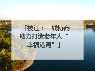 枝江：一线协商助力打造老年人“幸福港湾”