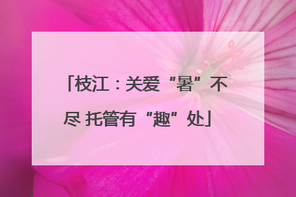 枝江：关爱“暑”不尽 托管有“趣”处