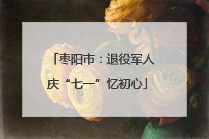 枣阳市：退役军人庆“七一”忆初心