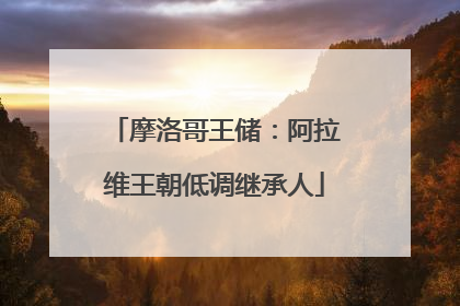 摩洛哥王储：阿拉维王朝低调继承人