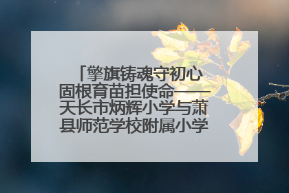 擎旗铸魂守初心 固根育苗担使命——天长市炳辉小学与萧县师范学校附属小学结对共建活动纪实