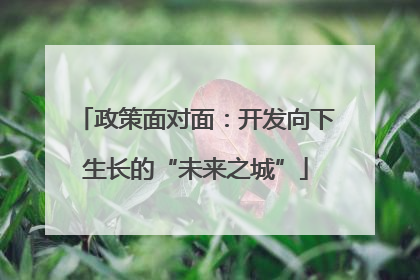 政策面对面：开发向下生长的“未来之城”