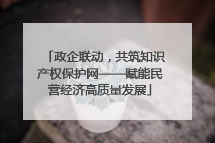政企联动，共筑知识产权保护网——赋能民营经济高质量发展