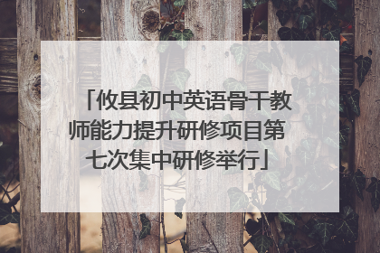 攸县初中英语骨干教师能力提升研修项目第七次集中研修举行