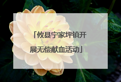 攸县宁家坪镇开展无偿献血活动