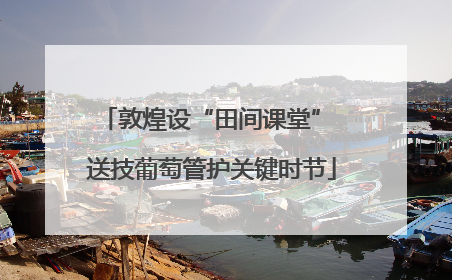 敦煌设“田间课堂” 送技葡萄管护关键时节
