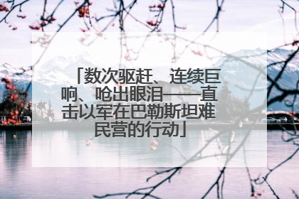 数次驱赶、连续巨响、呛出眼泪——直击以军在巴勒斯坦难民营的行动