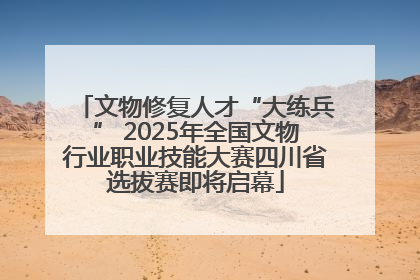 文物修复人才“大练兵” 2025年全国文物行业职业技能大赛四川省选拔赛即将启幕