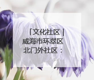 文化社区｜威海市环翠区北门外社区：打造有温度的文化社区
