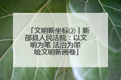 文明新坐标②丨新邵县人民法院：以文明为笔 法治为墨 绘文明新画卷