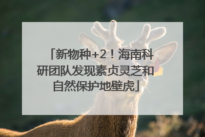 新物种+2！海南科研团队发现素贞灵芝和自然保护地壁虎