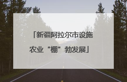 新疆阿拉尔市设施农业“棚”勃发展