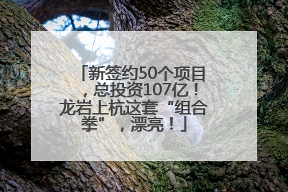 新签约50个项目，总投资107亿！龙岩上杭这套“组合拳”，漂亮！