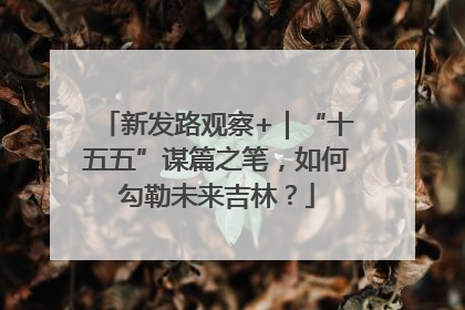 新发路观察+｜“十五五”谋篇之笔，如何勾勒未来吉林？