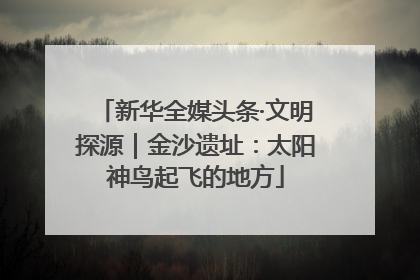 新华全媒头条·文明探源｜金沙遗址：太阳神鸟起飞的地方