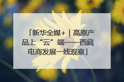 新华全媒+｜高原产品上“云”端——西藏电商发展一线观察