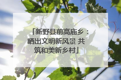 新野县前高庙乡：晒出文明新风景 共筑和美新乡村