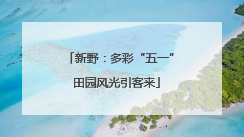 新野：多彩“五一” 田园风光引客来
