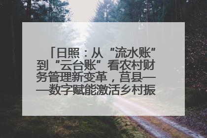 日照：从“流水账”到“云台账”看农村财务管理新变革，莒县——数字赋能激活乡村振兴“一池春水”
