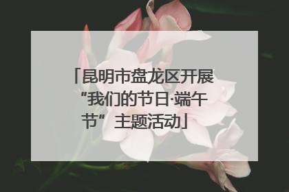 昆明市盘龙区开展“我们的节日·端午节”主题活动