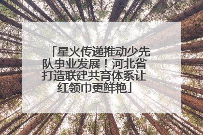 星火传递推动少先队事业发展！河北省打造联建共育体系让红领巾更鲜艳