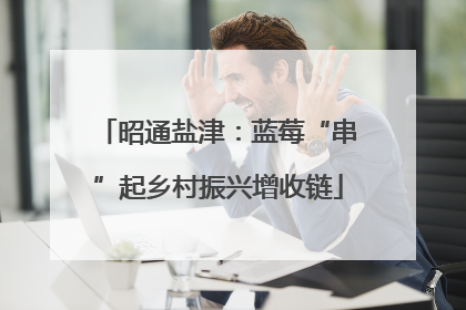 昭通盐津：蓝莓“串”起乡村振兴增收链