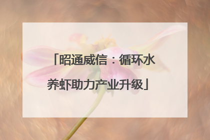 昭通威信：循环水养虾助力产业升级