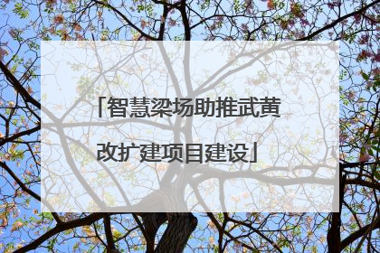 智慧梁场助推武黄改扩建项目建设
