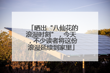晒出“八仙花的浪漫时刻”，今天，不少读者将这份浪漫延续到家里