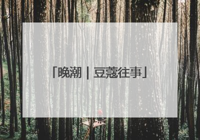 晚潮｜豆蔻往事