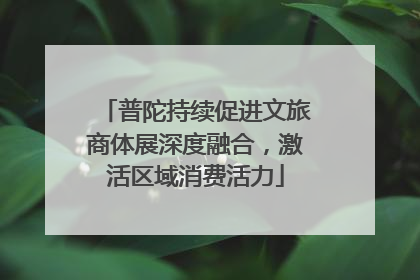 普陀持续促进文旅商体展深度融合，激活区域消费活力