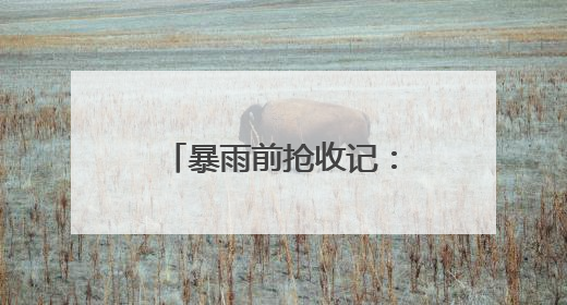 暴雨前抢收记：万斤胭脂红鲜桃传递“双向甜蜜”