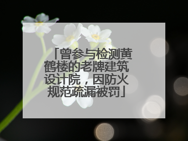 曾参与检测黄鹤楼的老牌建筑设计院，因防火规范疏漏被罚