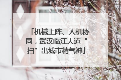 机械上阵、人机协同，武汉临江大道“扫”出城市精气神
