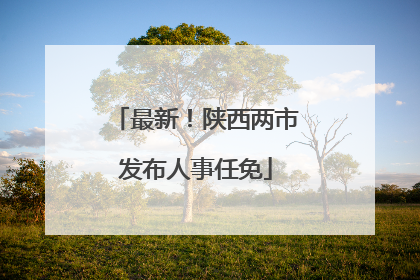 最新！陕西两市发布人事任免