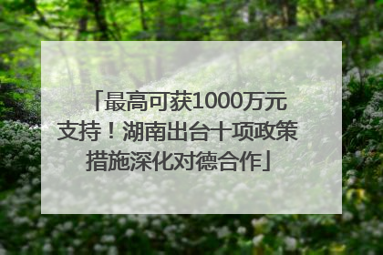 最高可获1000万元支持！湖南出台十项政策措施深化对德合作