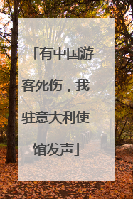 有中国游客死伤，我驻意大利使馆发声