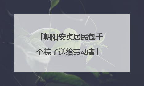 朝阳安贞居民包千个粽子送给劳动者